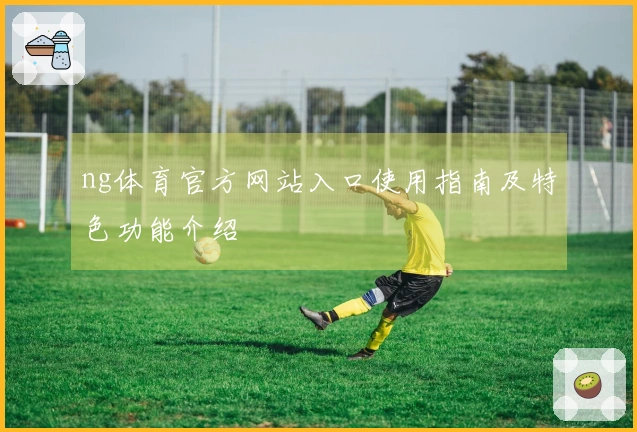 ng体育官方网站入口使用指南及特色功能介绍