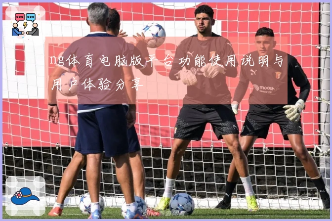 ng体育电脑版平台功能使用说明与用户体验分享