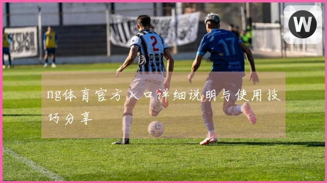 ng体育官方入口详细说明与使用技巧分享