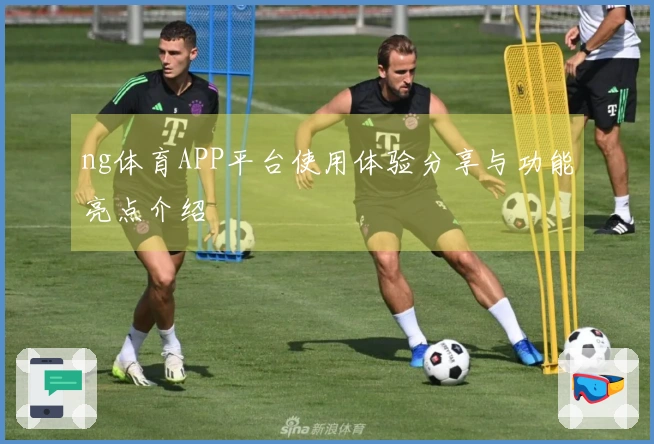 ng体育APP平台使用体验分享与功能亮点介绍