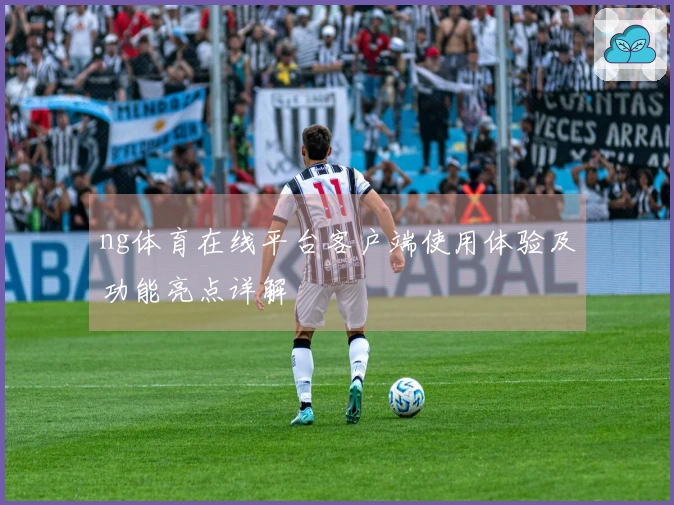 ng体育在线平台客户端使用体验及功能亮点详解