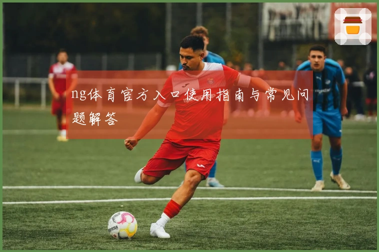 ng体育官方入口使用指南与常见问题解答